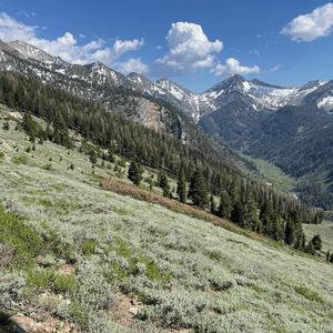 Mineral King Trailhead looking south east