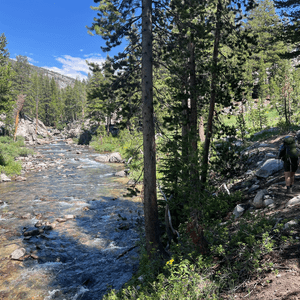 Evolution Creek