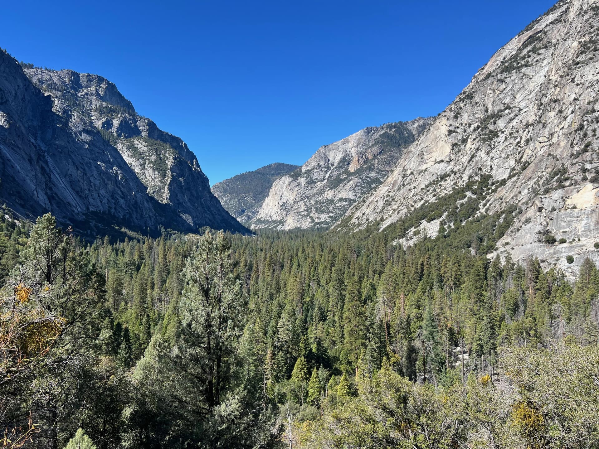 Looking West towards Zumwalt Meadow.