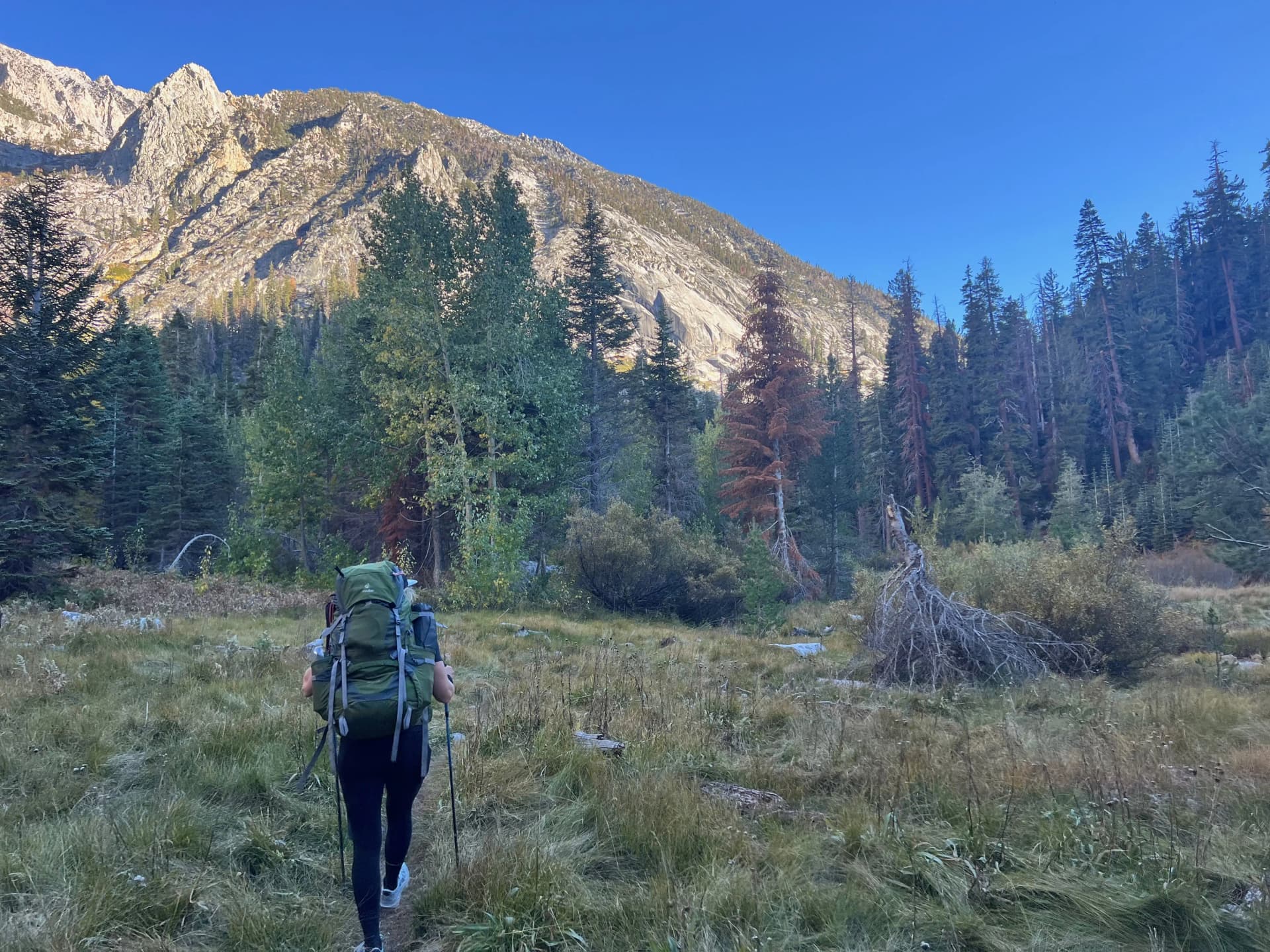 Cara walking through Junction Meadow looking at the Vidette Peaks.