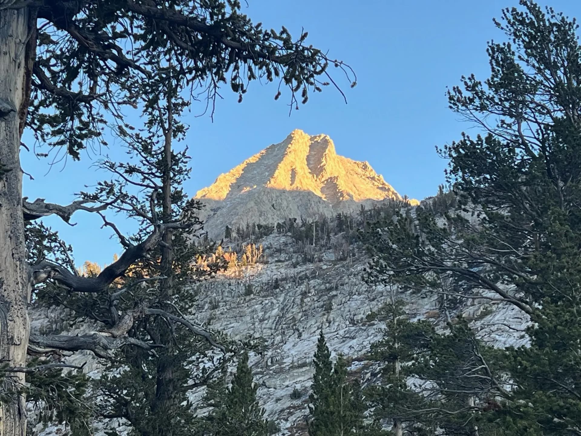A little alpenglow on East Vidette Peak before bed.