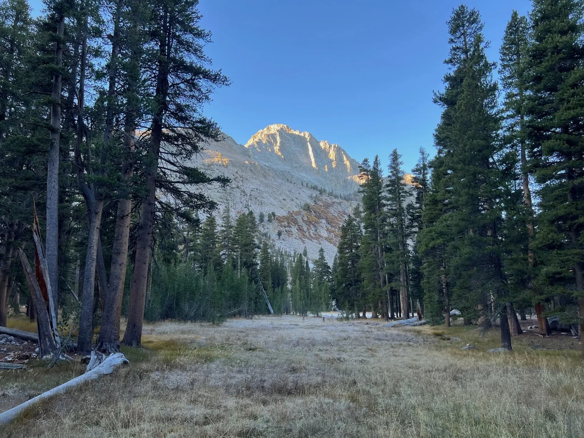 Morning at Vidette Meadow.