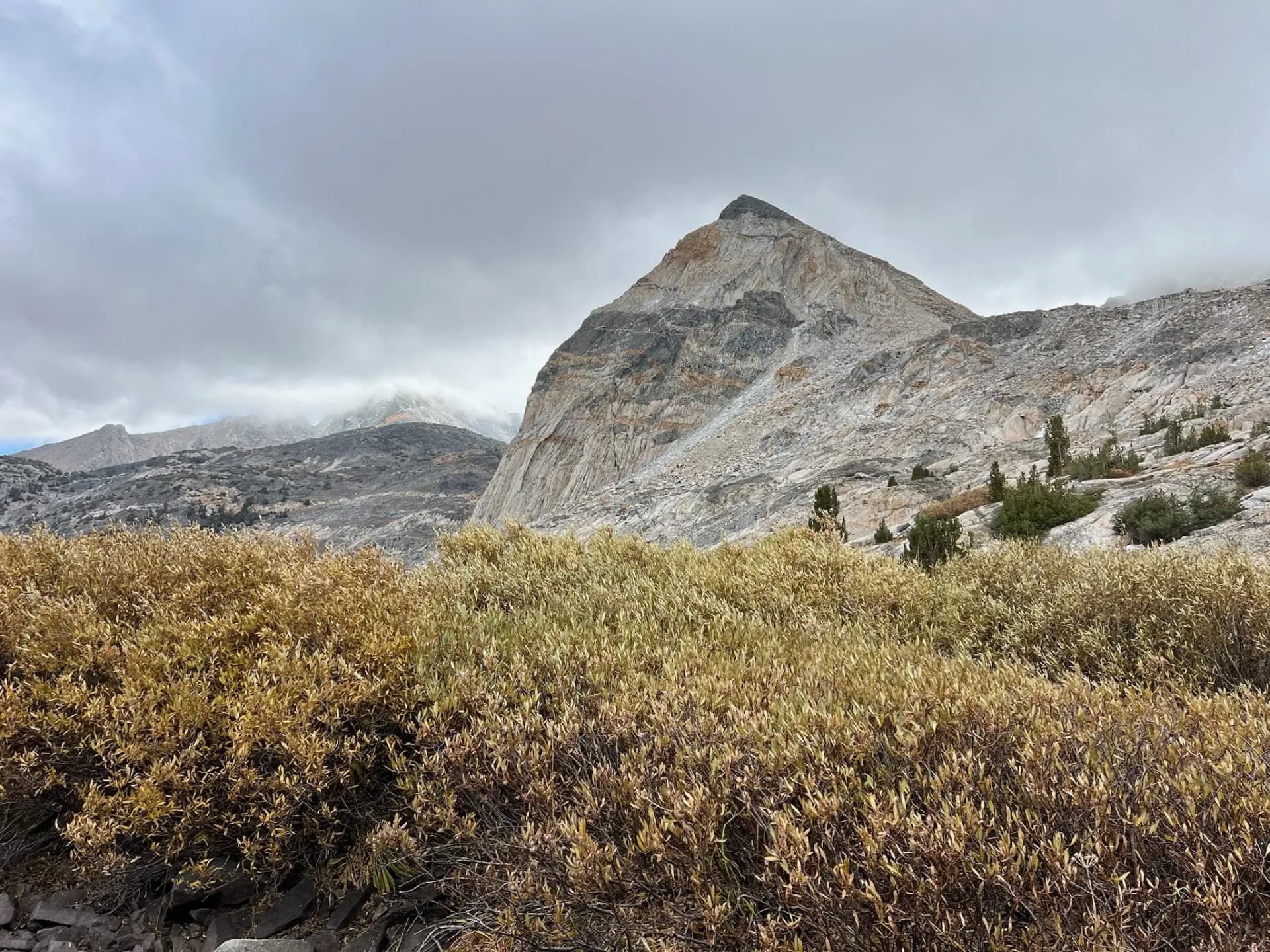 The Painted Lady peaking out from the clouds.