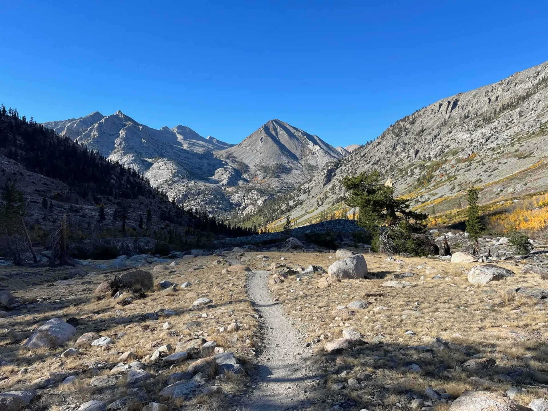 I think that's Peak 3764 in the center. Pinchot Pass is somewhere off to the right on the JMT!
