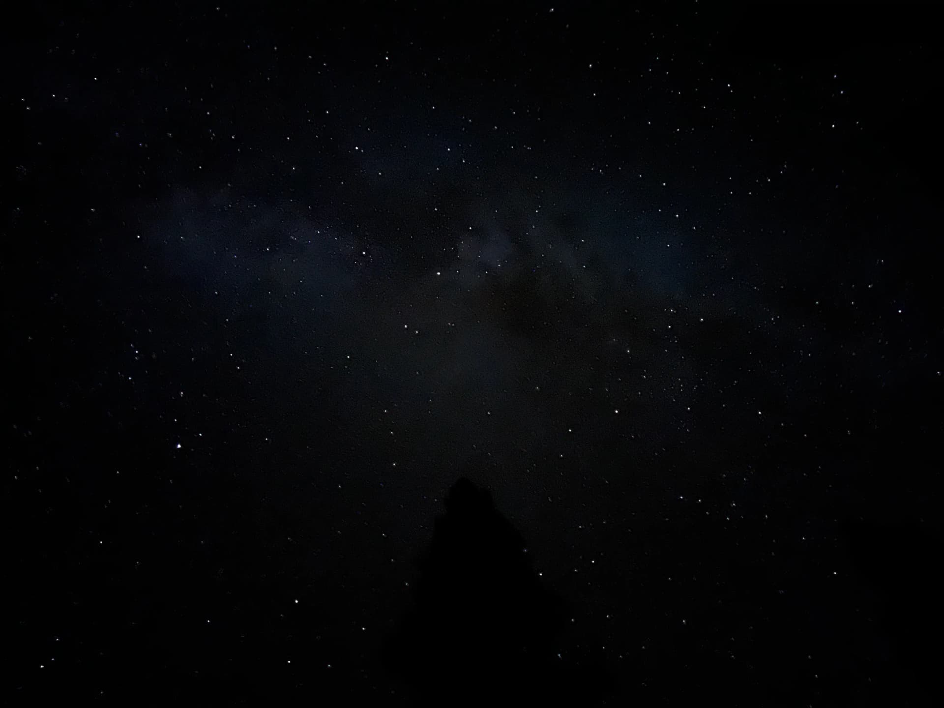 I love the silhouette of the pine against the milky way.