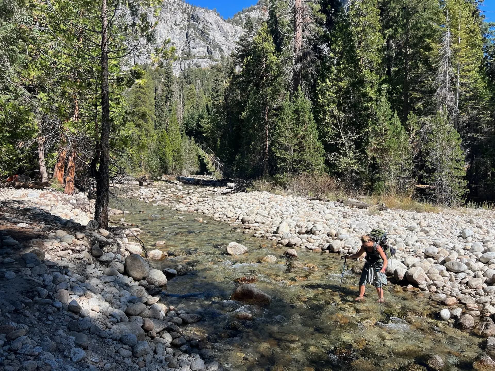 Cara fording the mighty South Fork of the Kings River.
