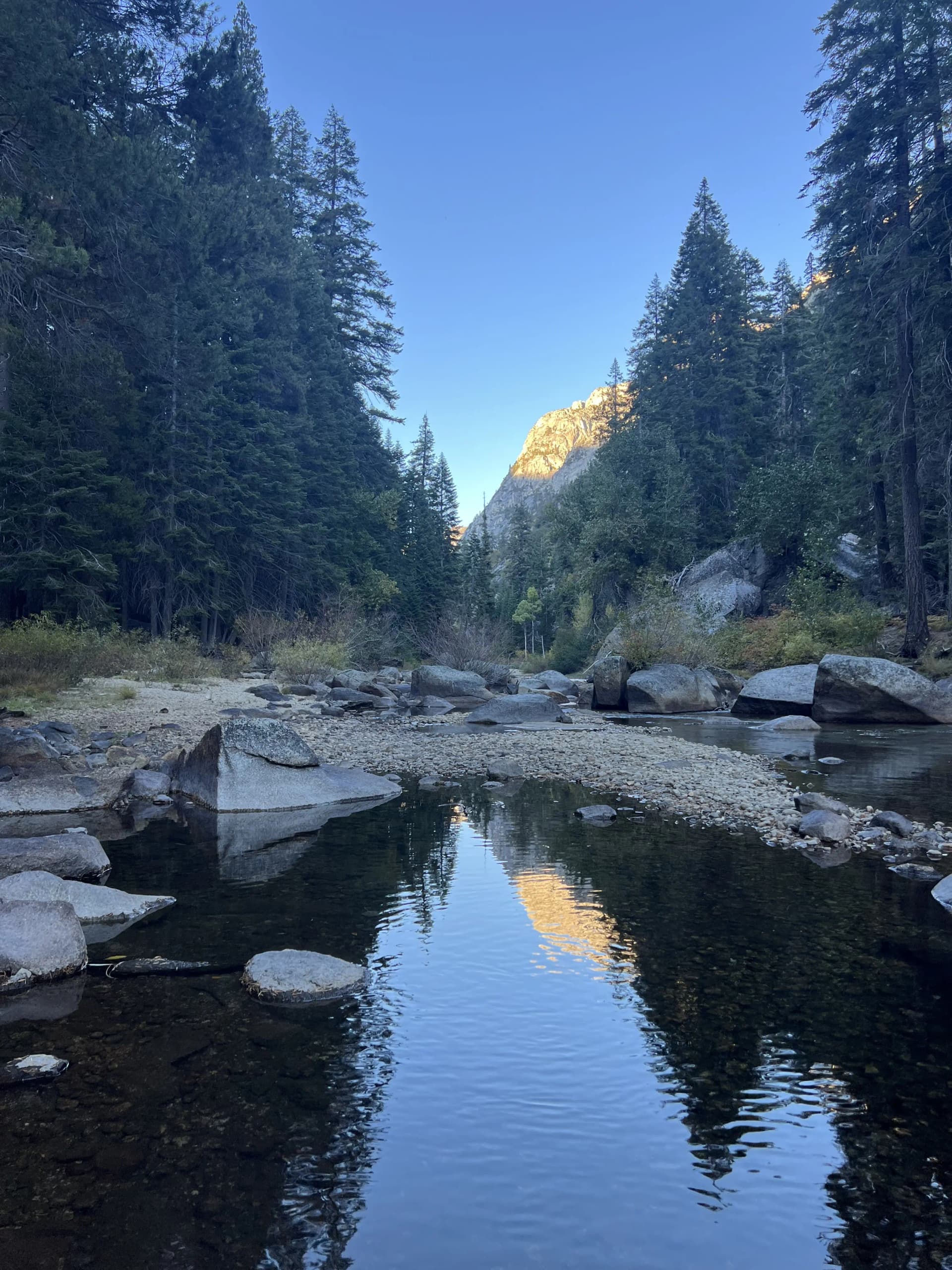 Good night Paradise.