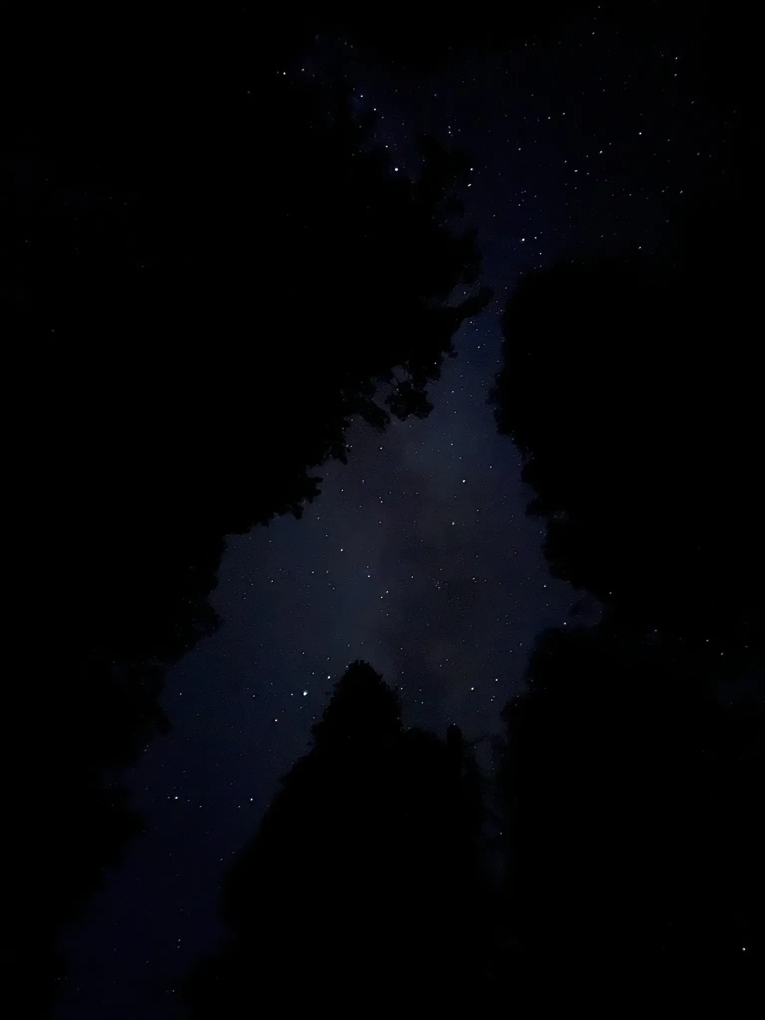 Milking way peaking out behind the trees.