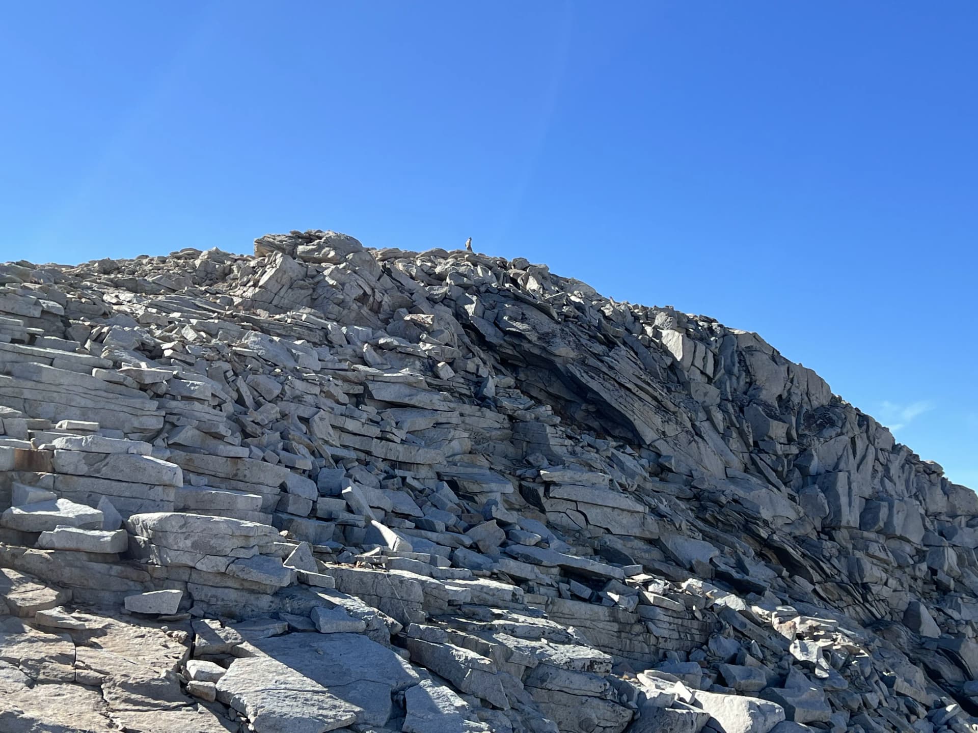 Peak 11,300ft