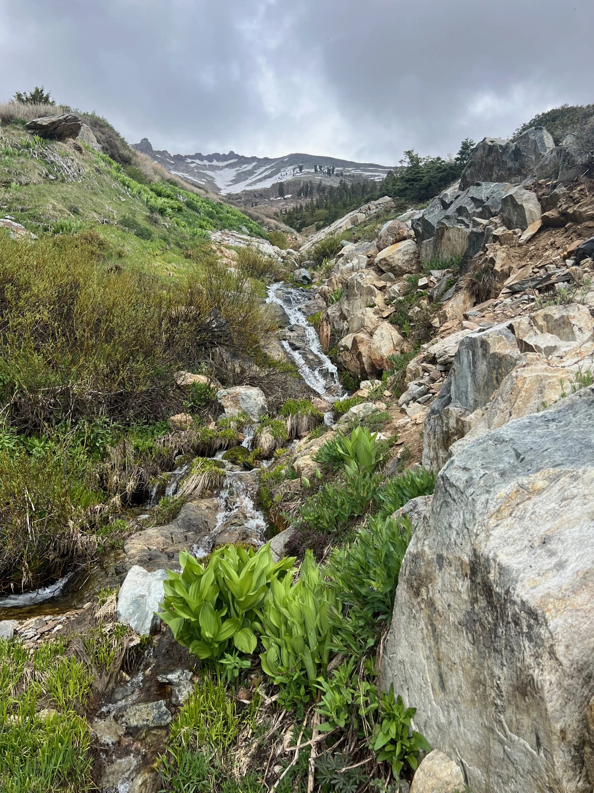 Stream heading up to Timber Gap