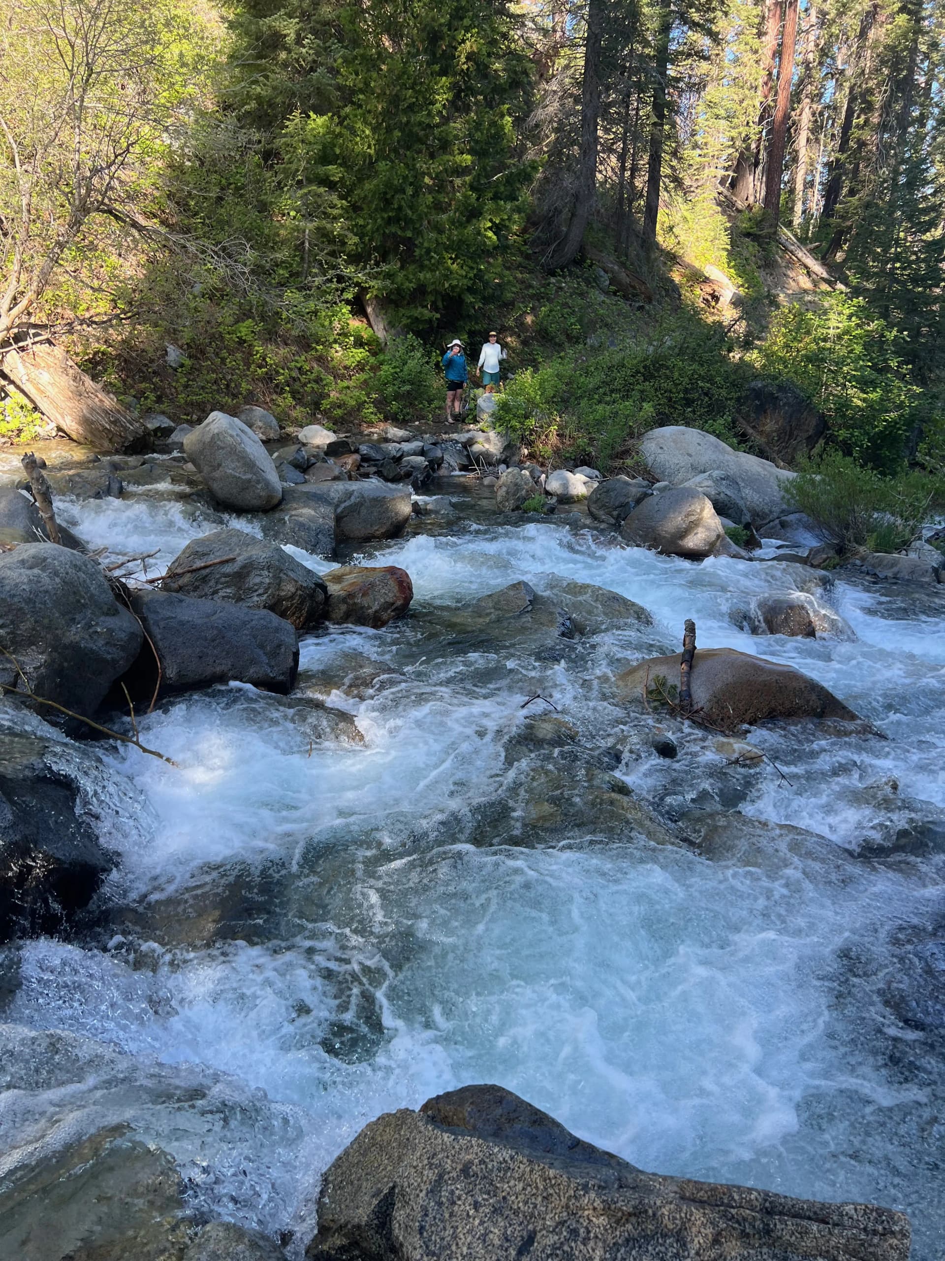 Looking across Cliff Creek at the girls.