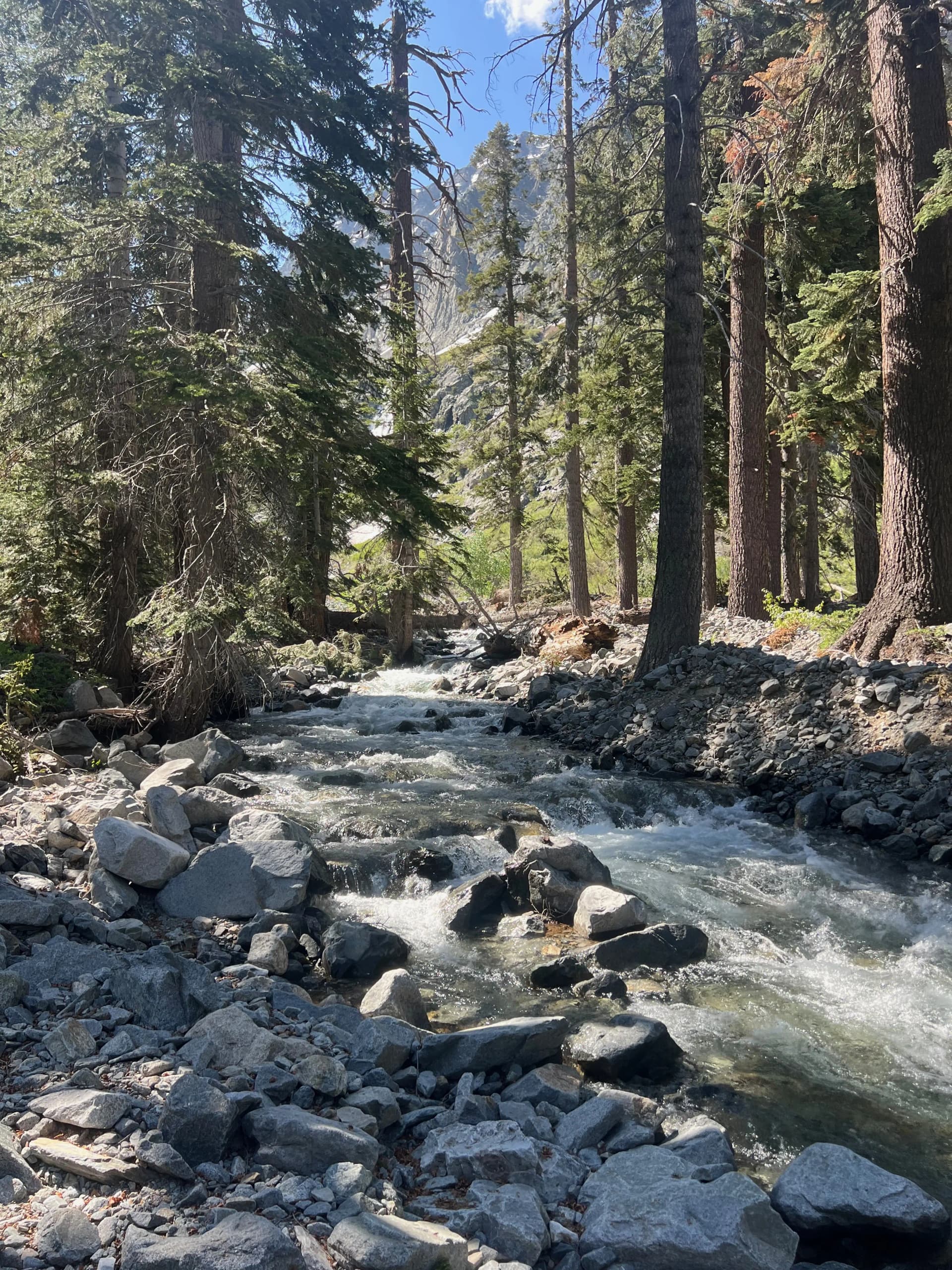 Following Cliff Creek