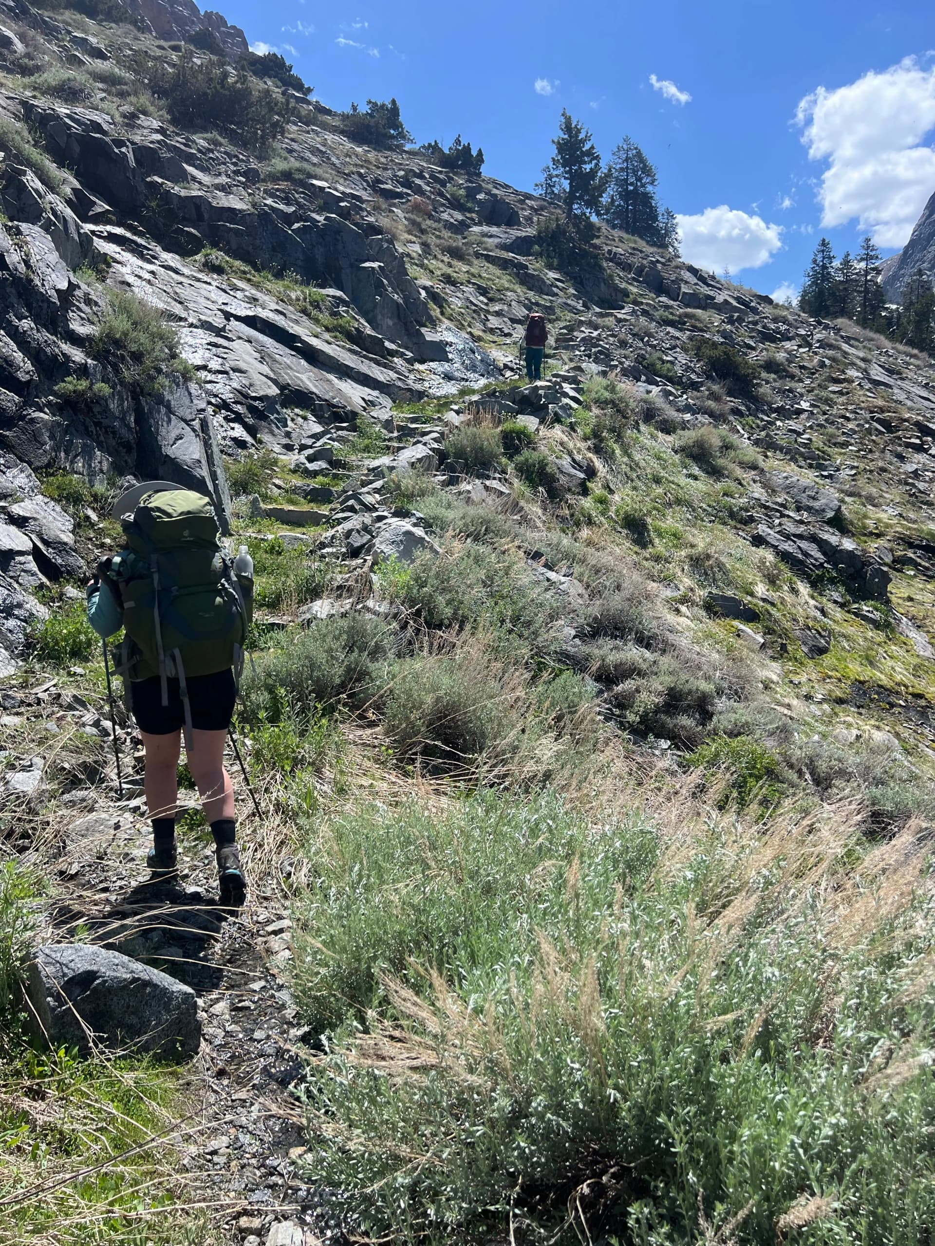 Making our way up Cliff Creek
