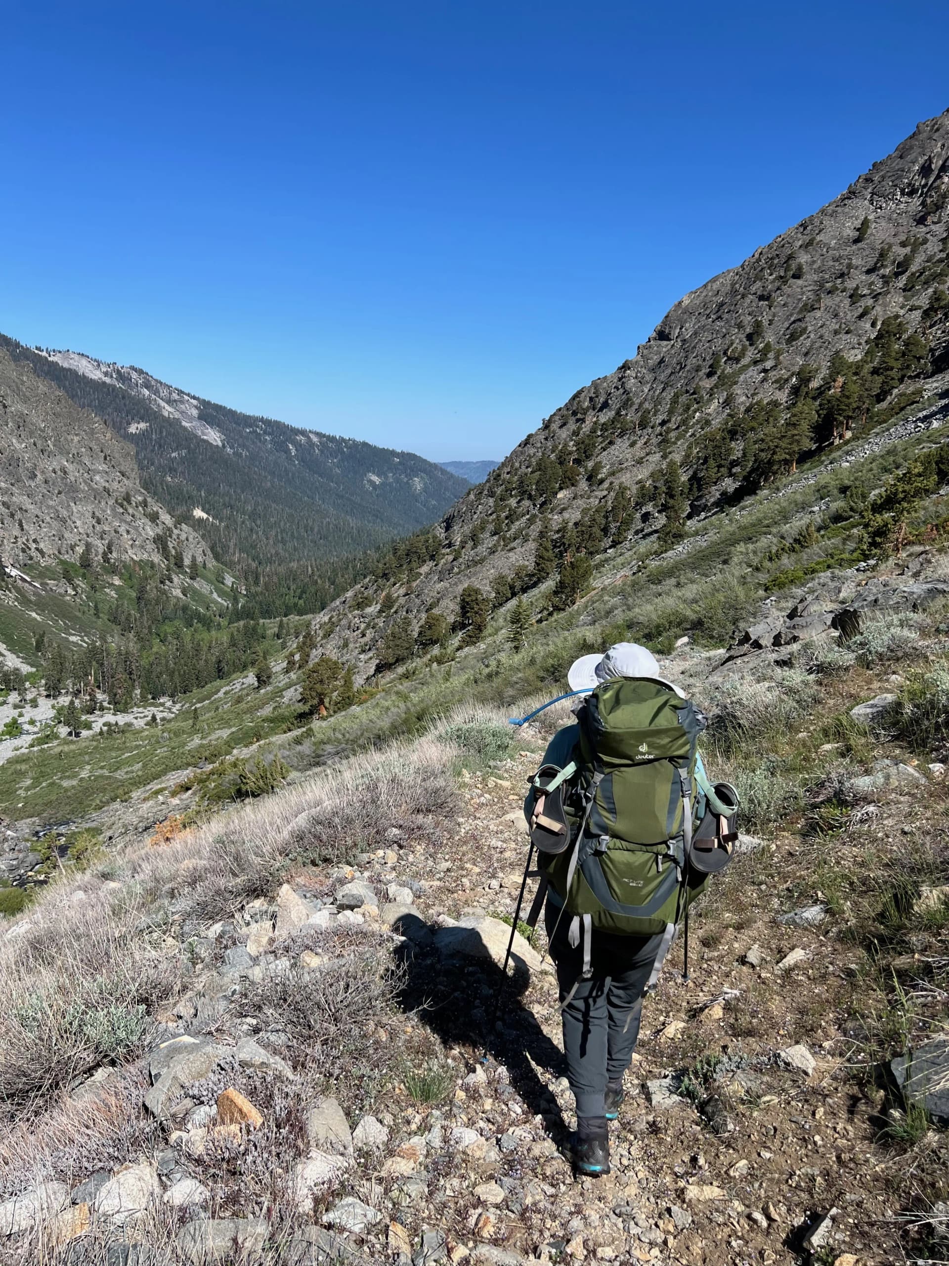 Hiking back towards Redwood Meadow Grove.