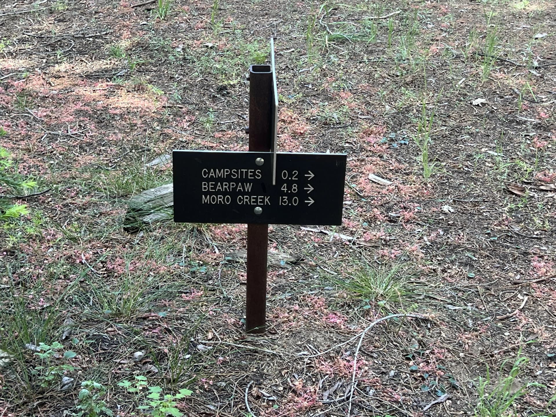 The sign said campsite 0.2 miles away up the trail, but we struggled to find anything remotely close to a campsite.