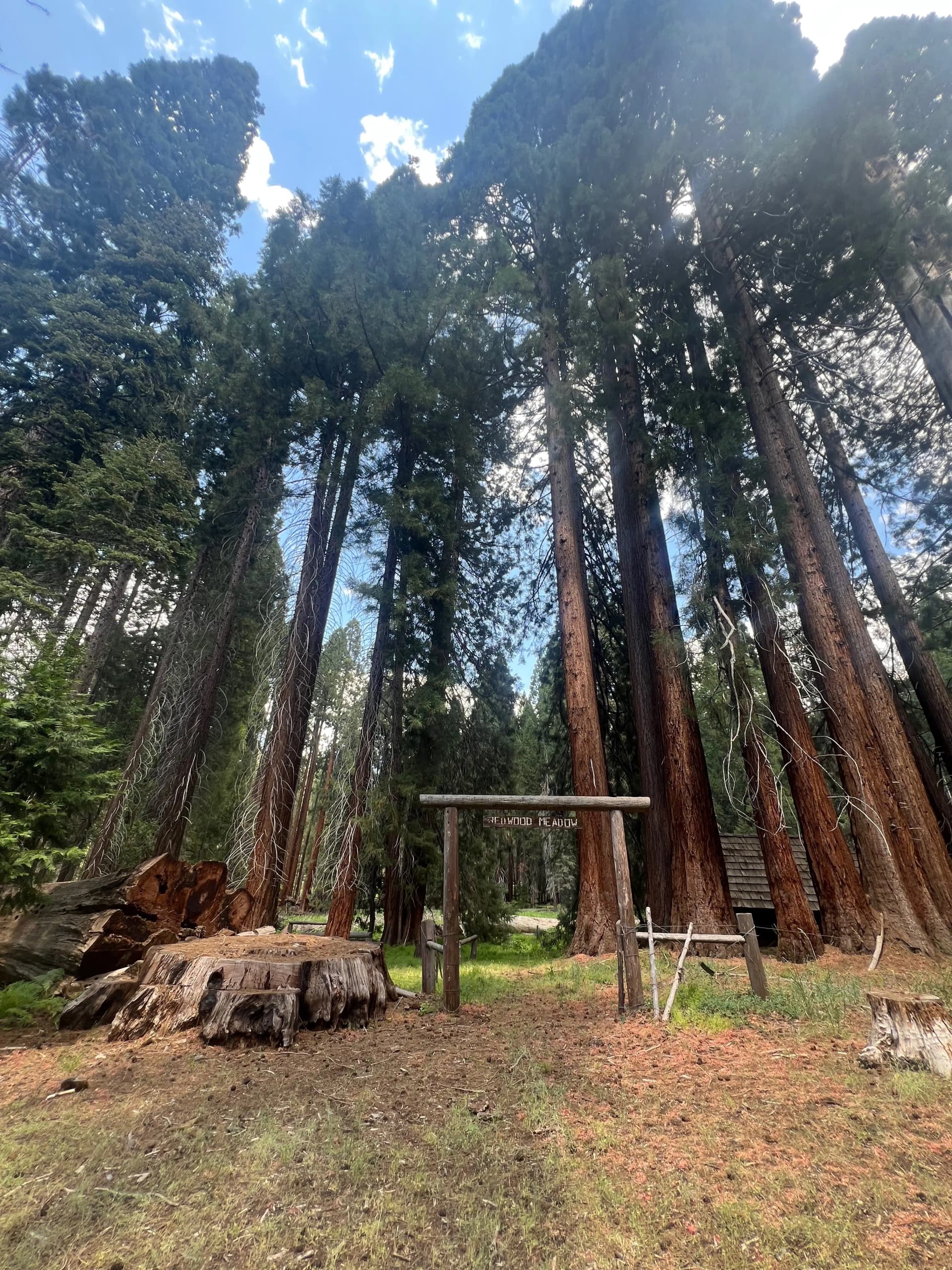 I can see why it is called Redwood Meadow.