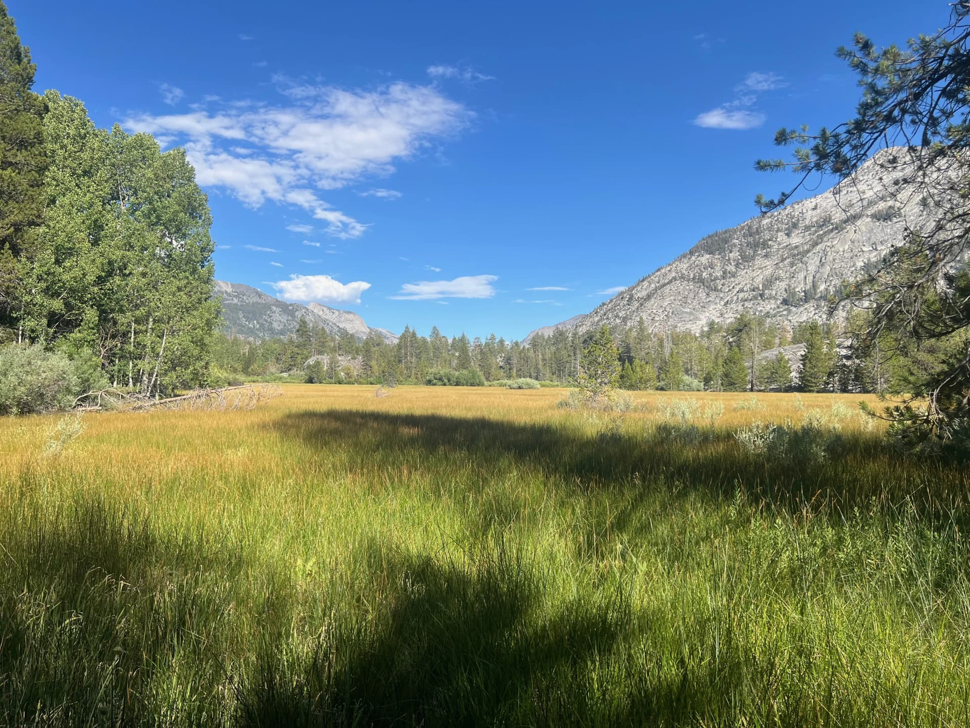 We made it back to trail and were greeted with gorgeous meadows along the way.
