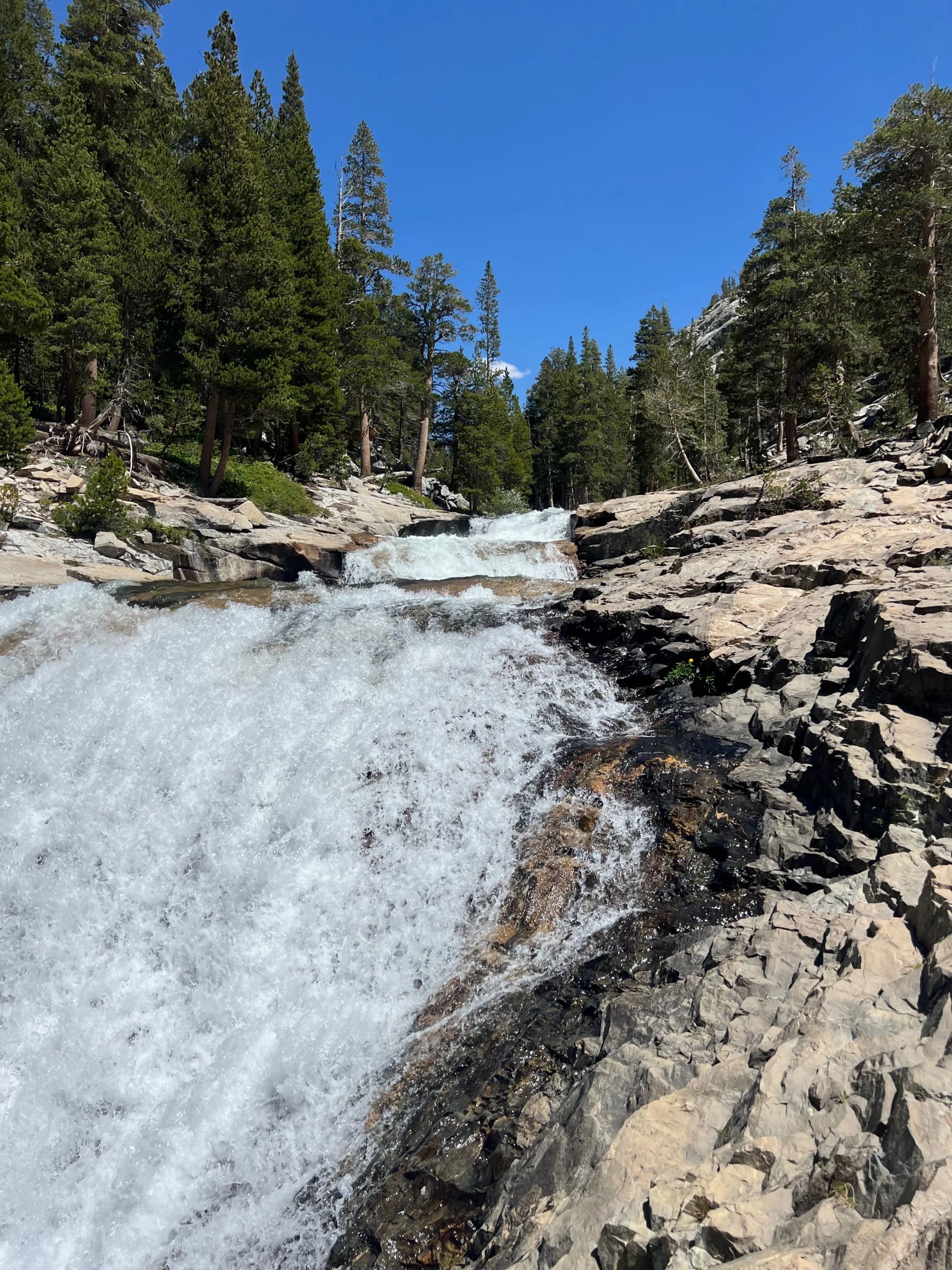 Evolution Creek falls.