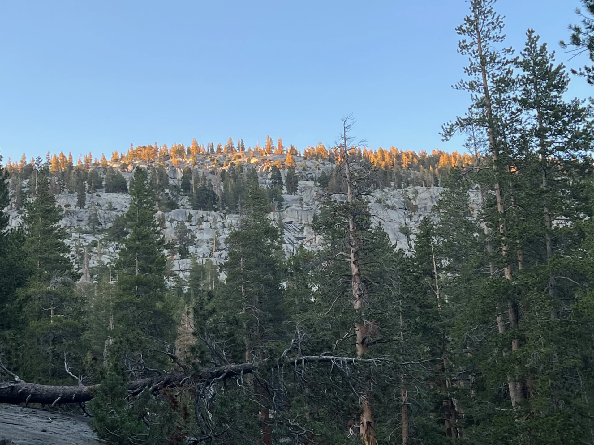 A little Alpenglow before bed.