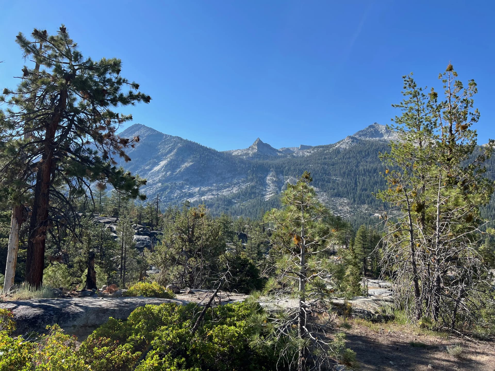 Saying goodbye to the wonderful Florence Lake area.
