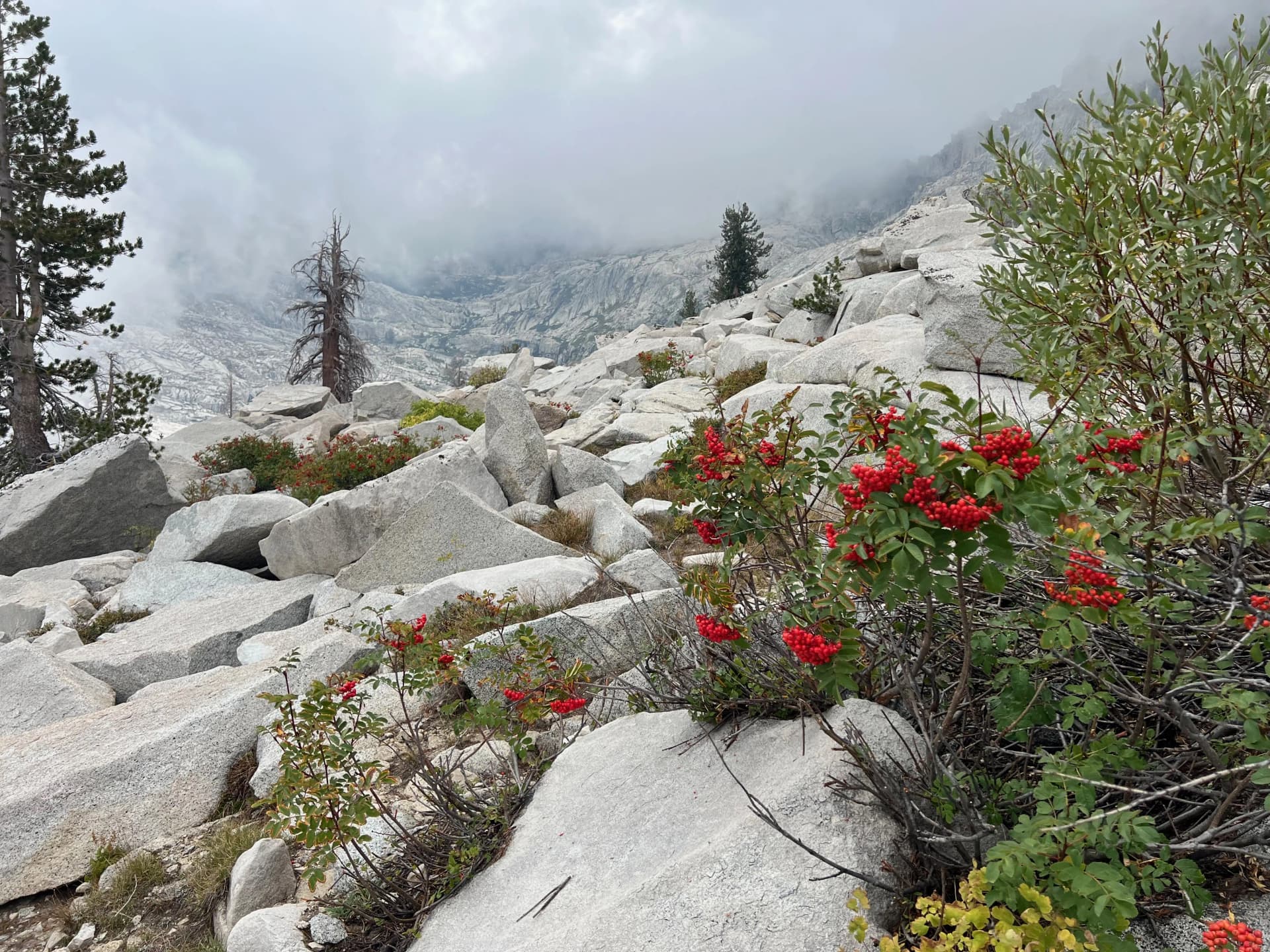 Path to Pear Lake
